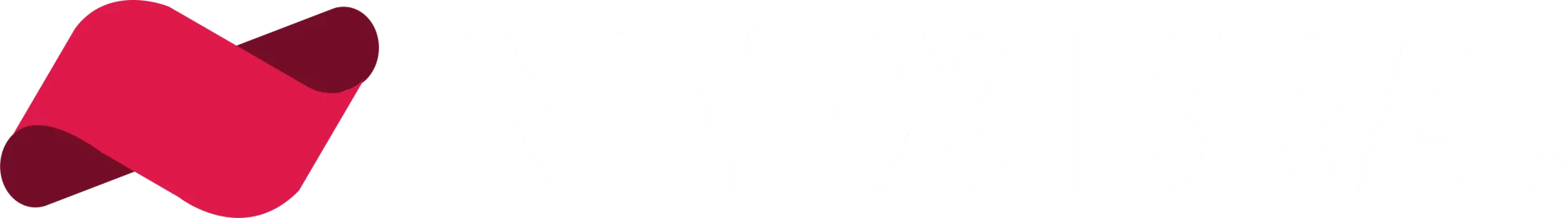 Neex Brasil